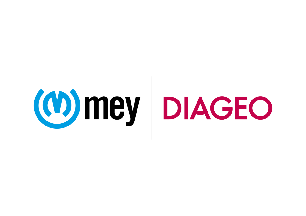 Meydiaego logosu
