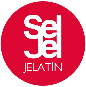 Seljel logosu